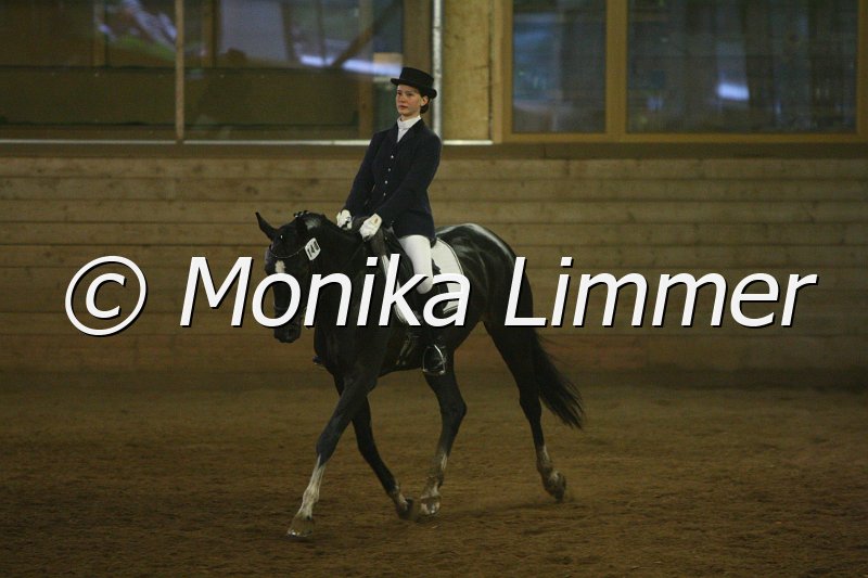 007L6874_Gaja_Dresspferde A.JPG